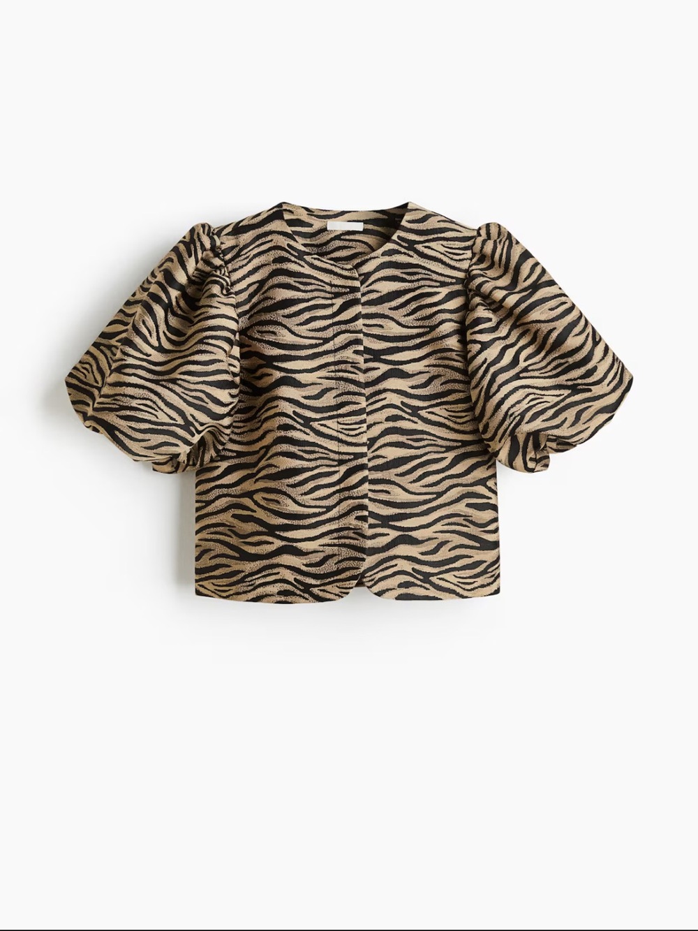 H&M Balloon-Sleeved Blouse